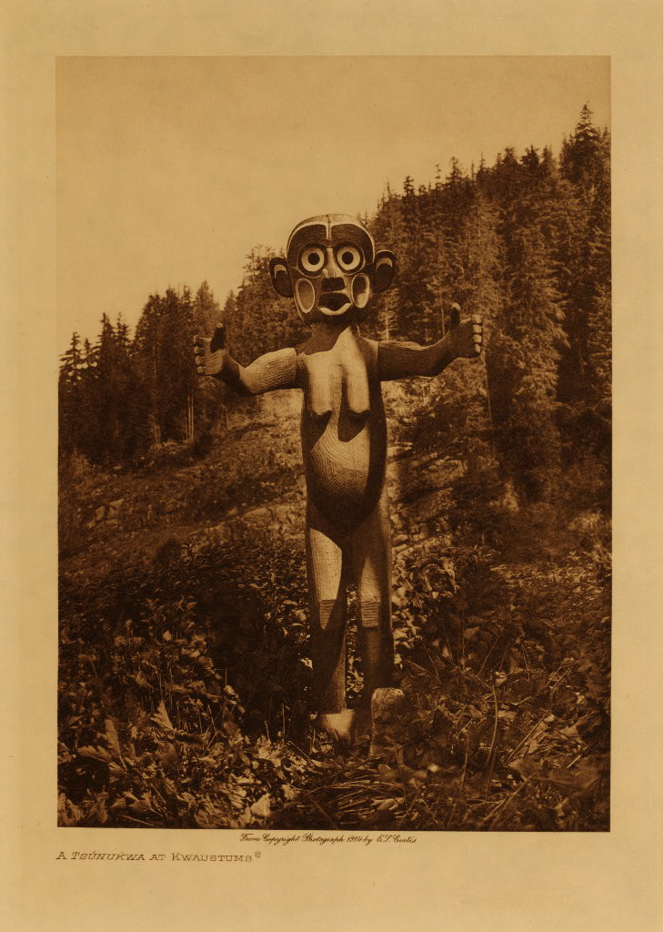 ct10073v